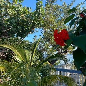 Meet your Posher, Trevlyn